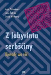 Cover von Z labyrinta serbšćiny. Bjesady wo rěči.