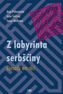 Cover von Z labyrinta serbšćiny. Bjesady wo rěči. górnoserbski