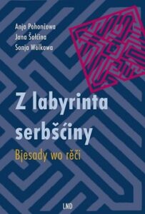 Cover von Z labyrinta serbšćiny. Bjesady wo rěči. German