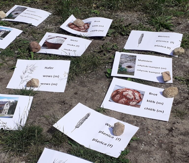 Serbske memorygraśe
