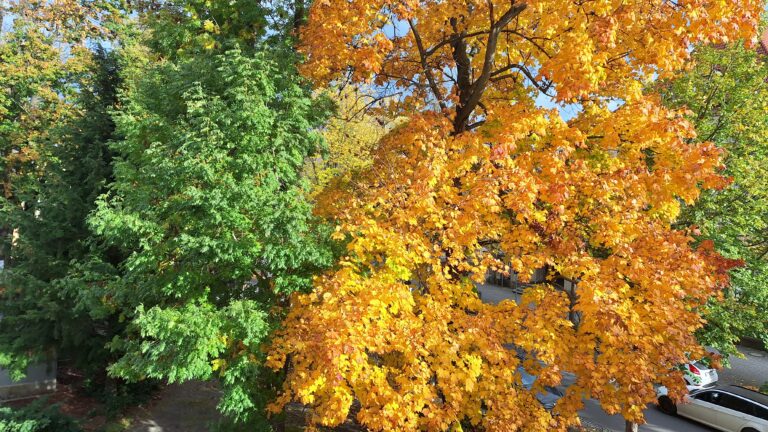 Herbst in Bautzen