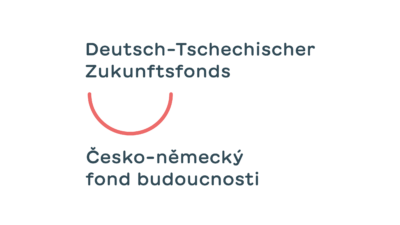 DTZF_LOGOTYP_GRUNDLOGO_DE