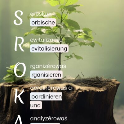 Startseite Projekt-Homepage SROKA (screenshot 5/2025)