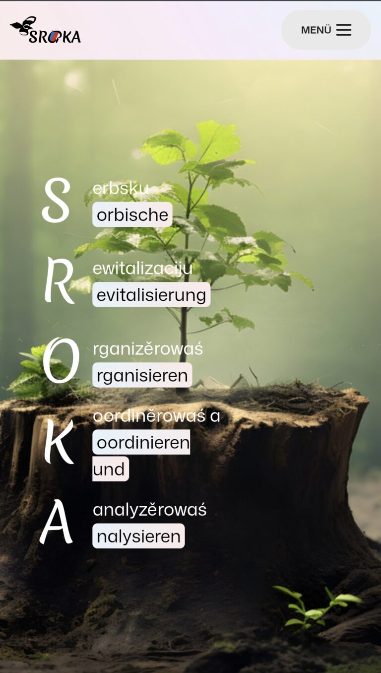 Screenshot_20250508_sroka-landing-page