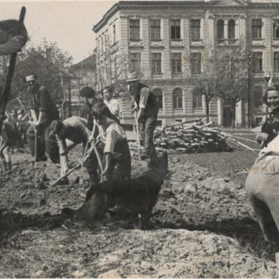 Beitragsbild Vortrag Jana PP